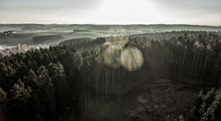 images-1